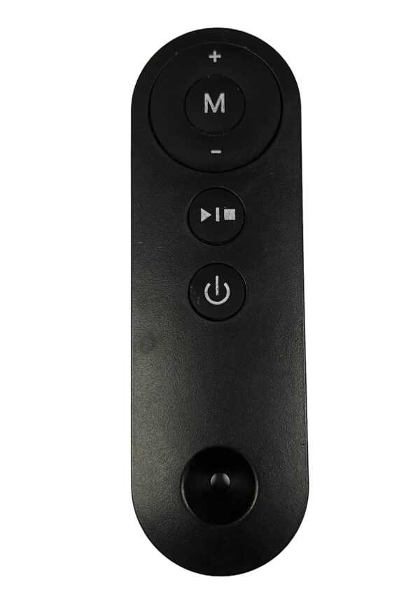 Bigzzia original remote control